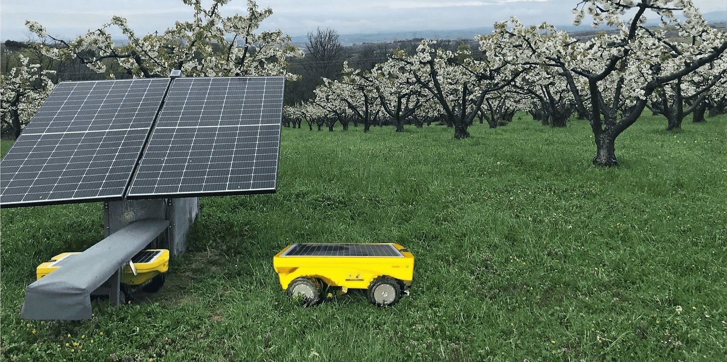 VITIROVER